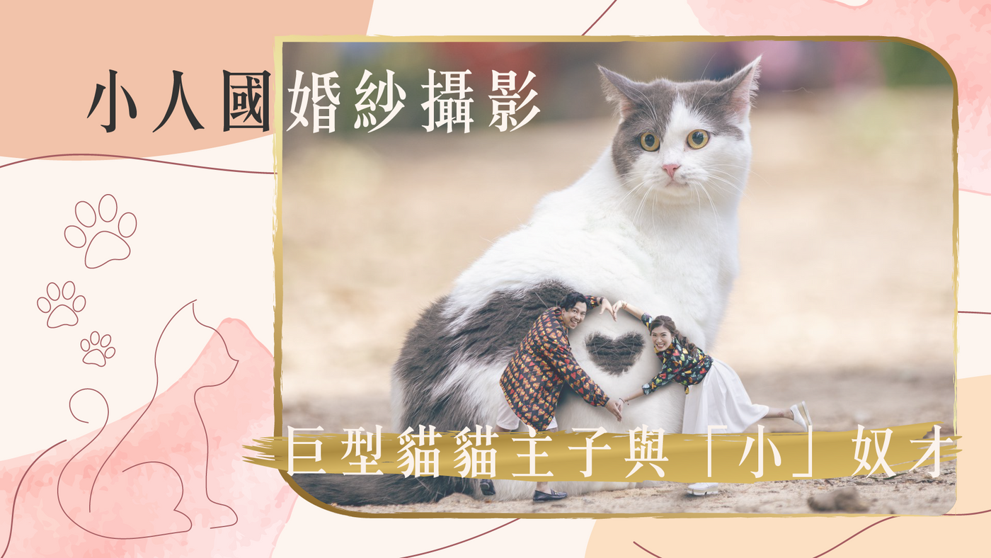 【小人國婚紗攝影！巨型貓貓主子與小奴才！】